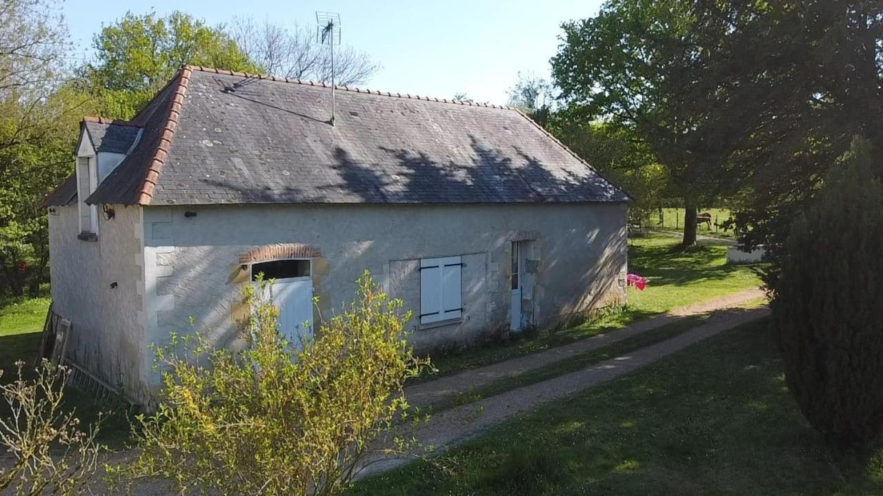 Holiday home La Grande Racinaie Cre-sur-Loir